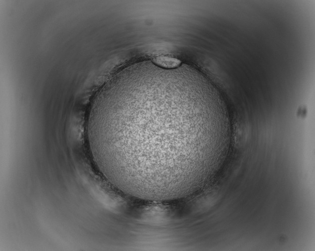 X0000115650259200911241741