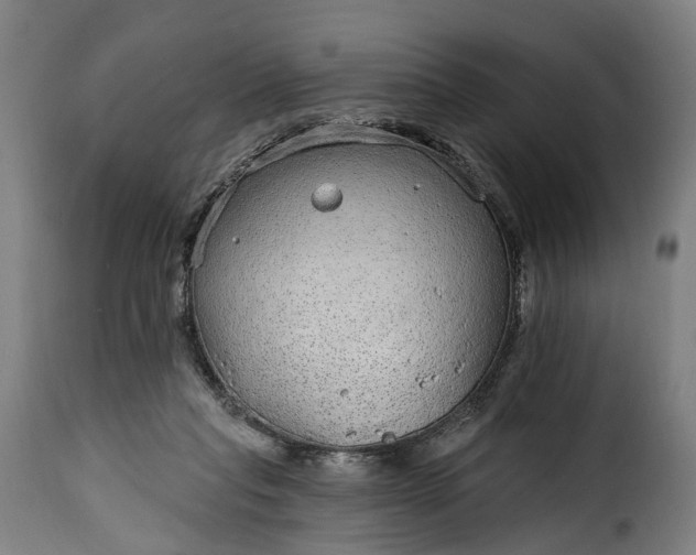 X0000115650261200911241741