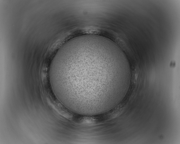 X0000115650263200911241741