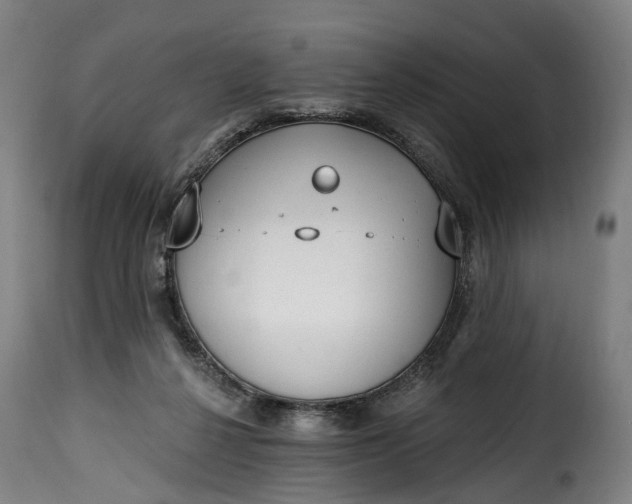 X0000115650264200911241741