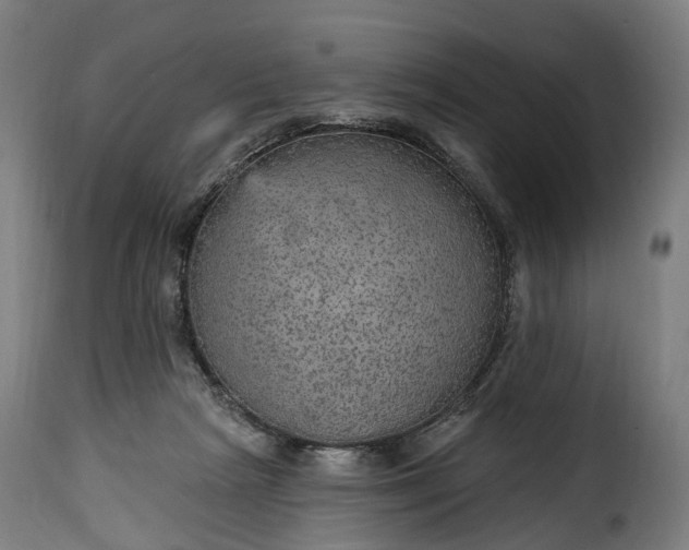 X0000115650265200911241741