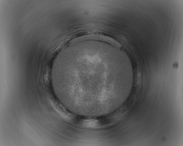 X0000115650266200911241741