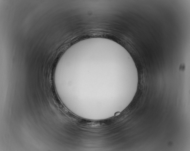 X0000115650267200911241741