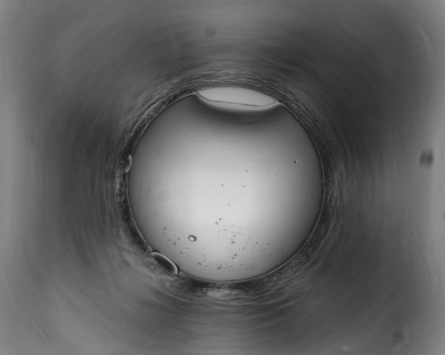 X0000115650268200911241741