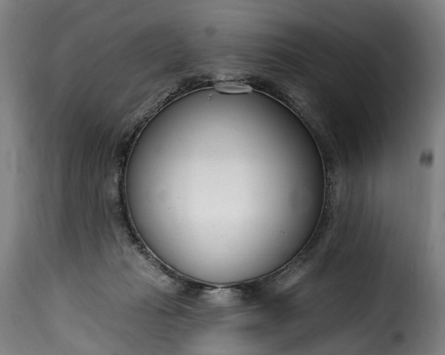 X0000115650269200911241741