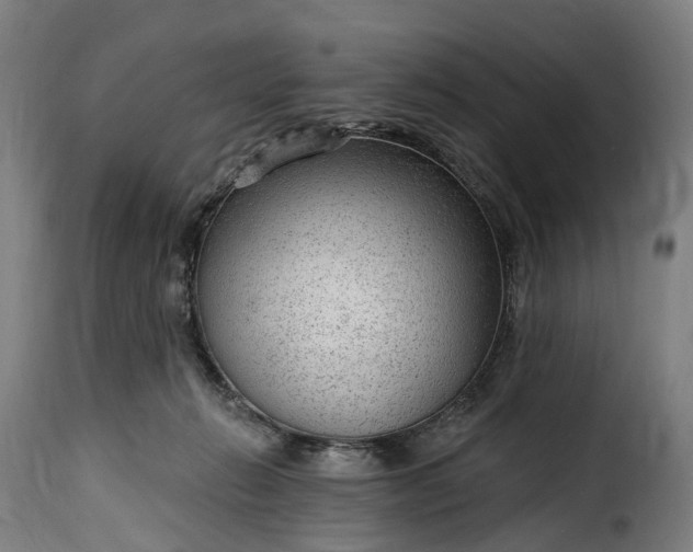 X0000115650270200911241741