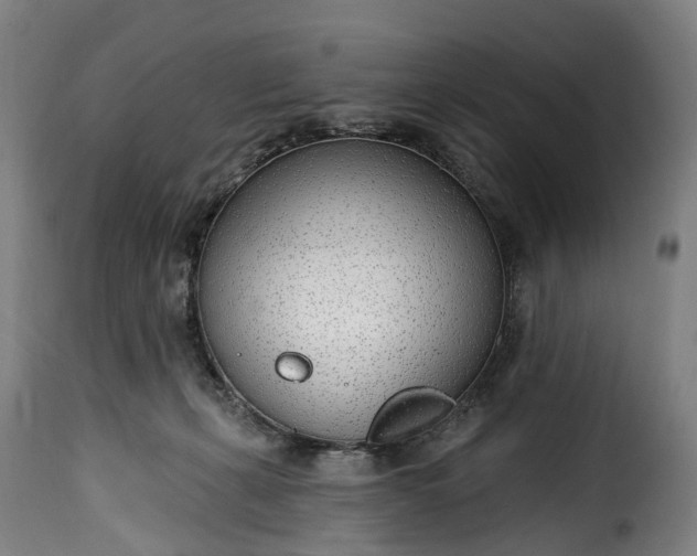 X0000115650271200911241741