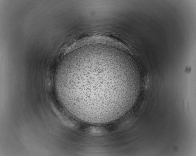 X0000115650272200911241741