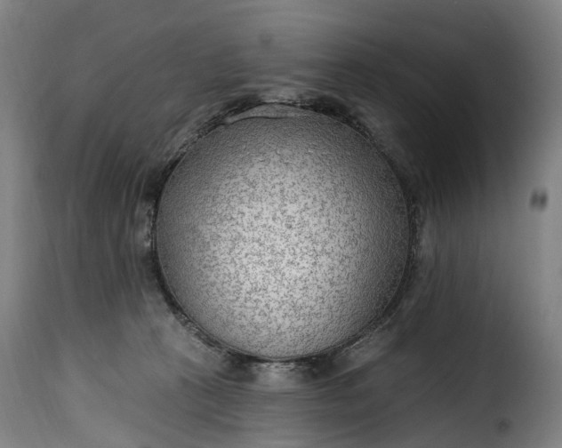 X0000115650273200911241741