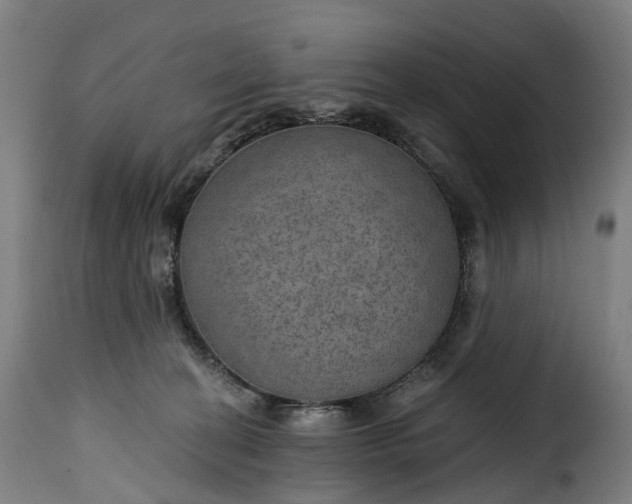 X0000115650274200911241741