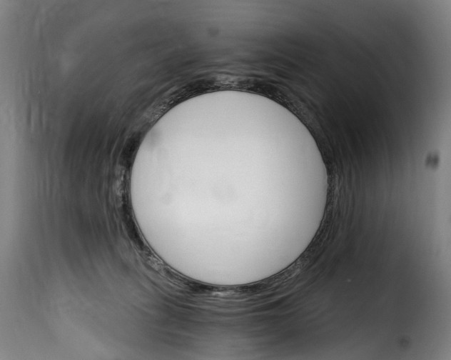 X0000115650275200911241741