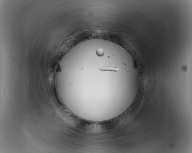 X0000115650276200911241741