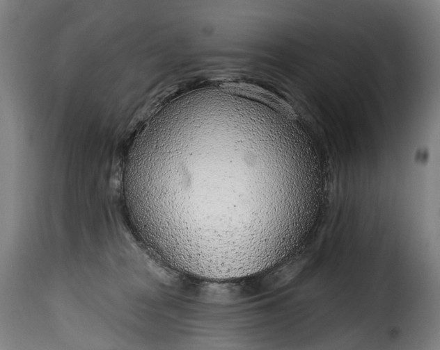 X0000115650277200911241741