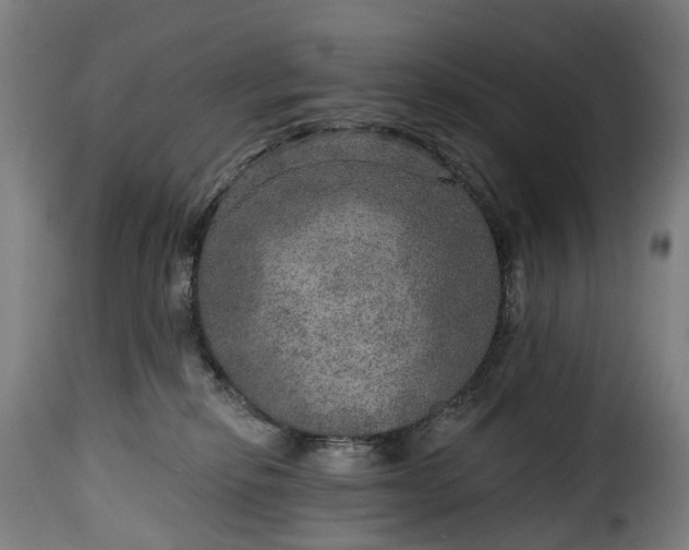 X0000115650278200911241741