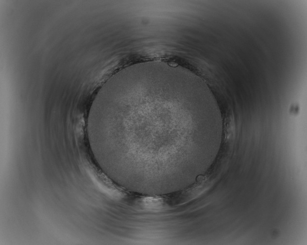 X0000115650279200911241741