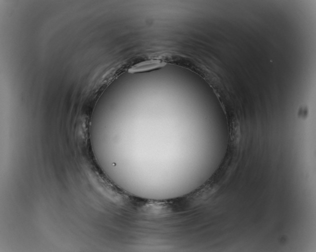 X0000115650280200911241741