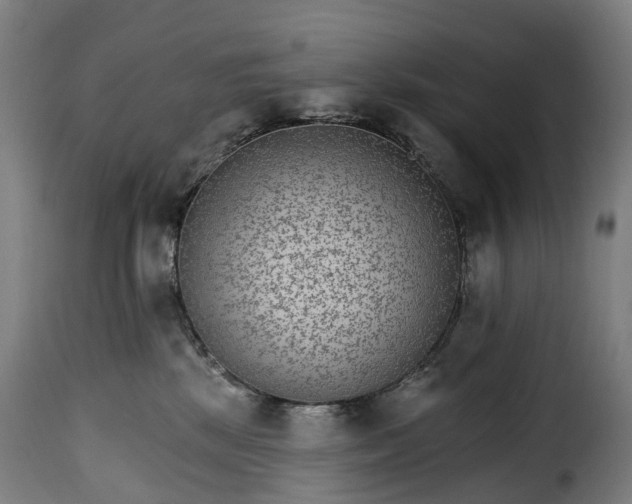 X0000115650281200911241741