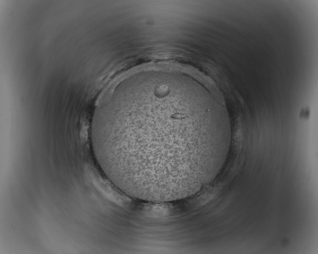 X0000115650282200911241741