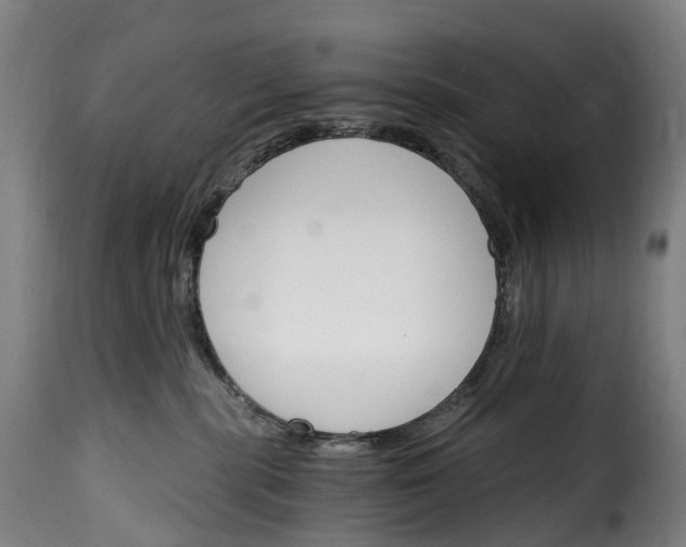 X0000115650283200911241741