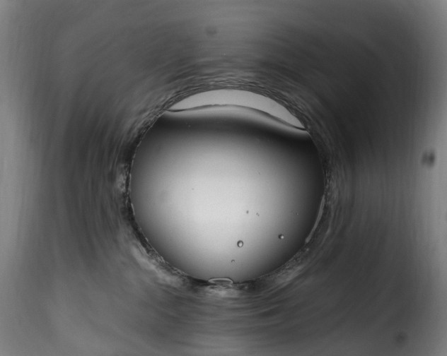 X0000115650284200911241741