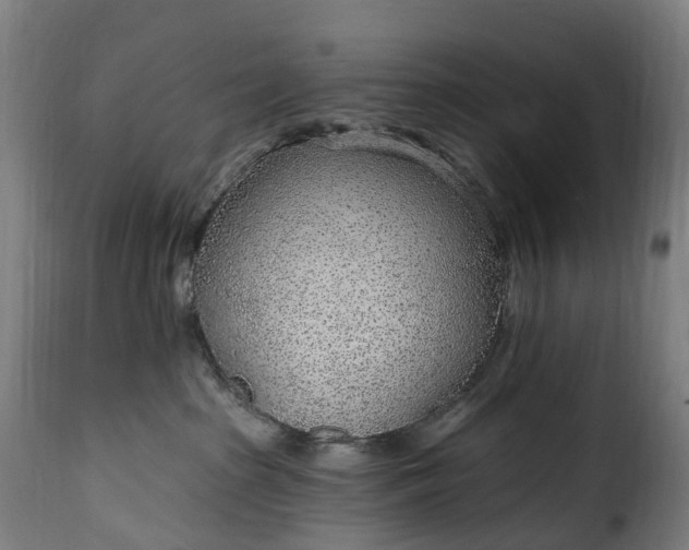 X0000115650285200911241741