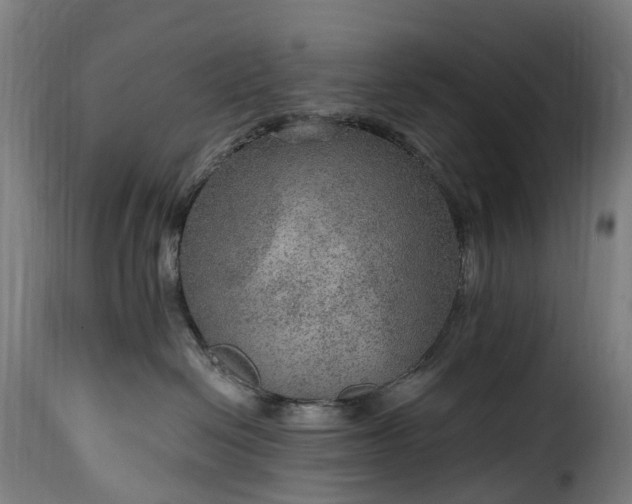 X0000115650286200911241741