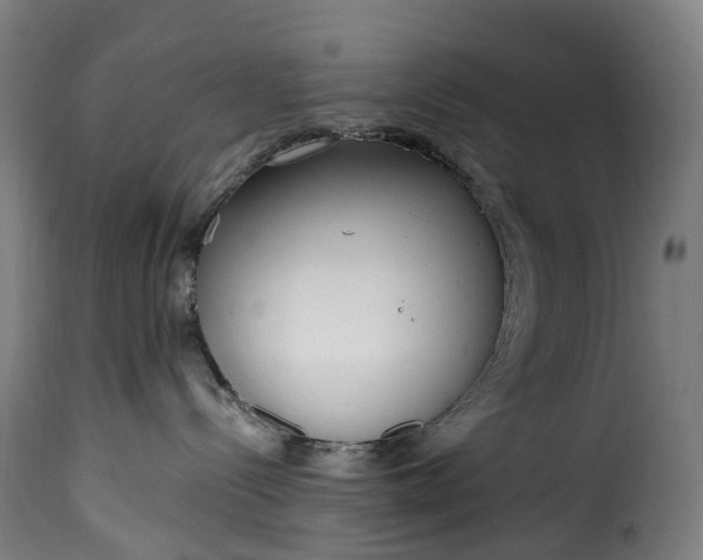 X0000115650288200911241741