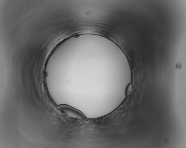 X0000115650289200911241740