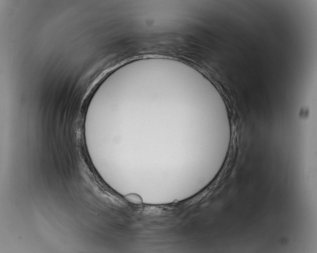 X0000115650290200911241740