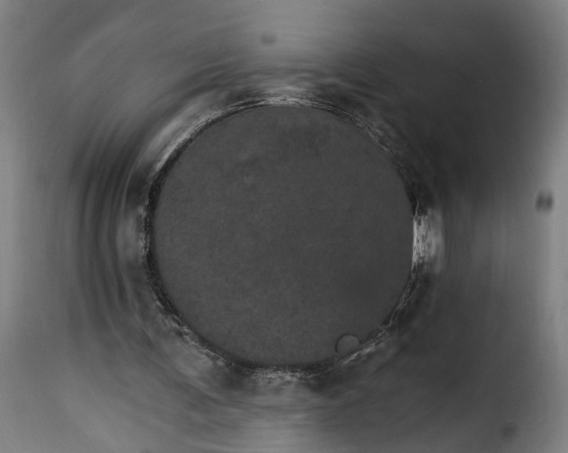 X0000115650291200911241740