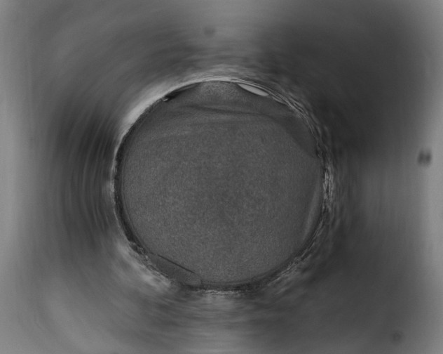 X0000115650292200911241740