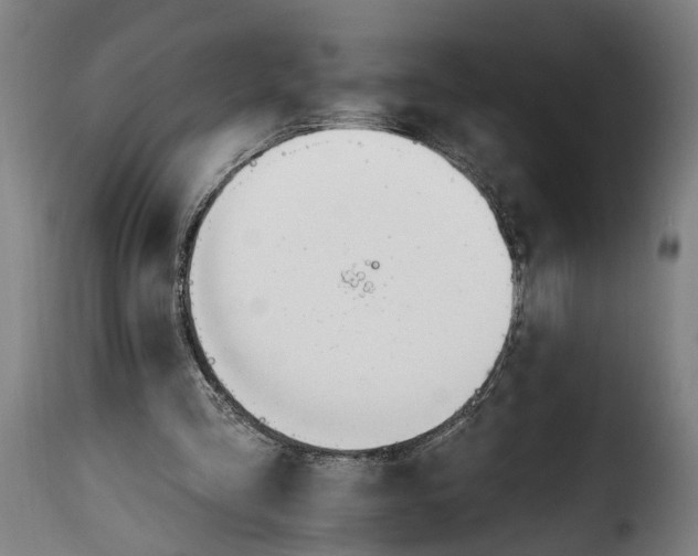 X0000115650293200911241740