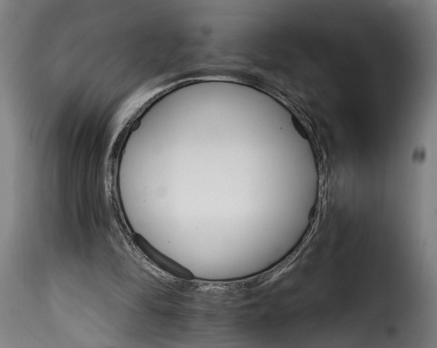 X0000115650294200911241740