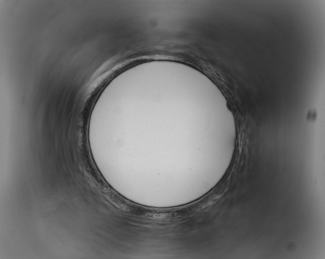 X0000115650295200911241740