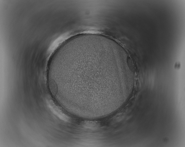 X0000115650296200911241740