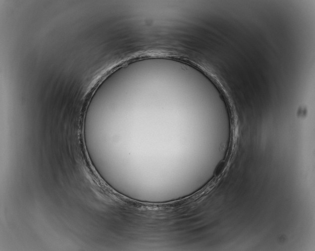 X0000115650297200911241740