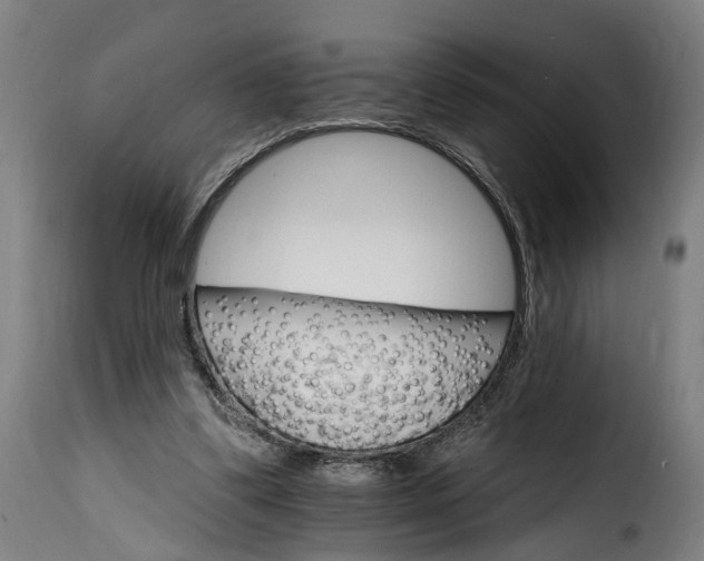 X0000115650299200911241740