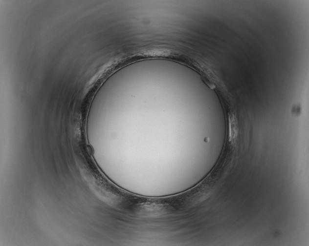 X0000115650300200911241740