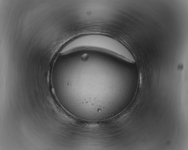 X0000115650301200911241740