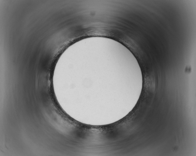 X0000115650302200911241740