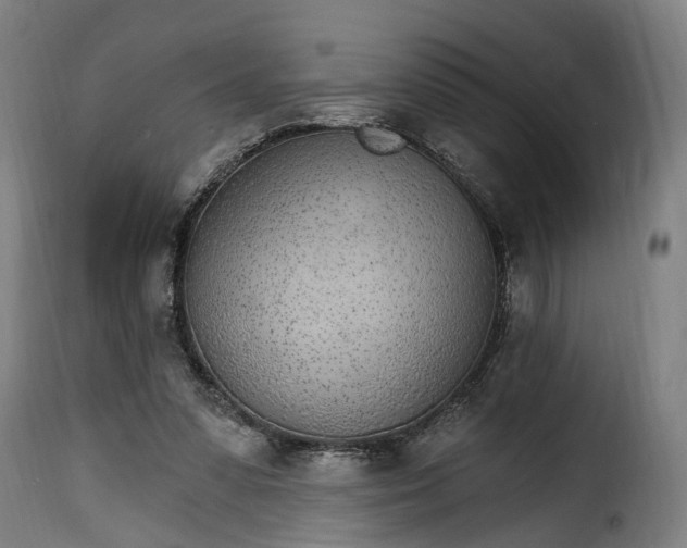 X0000115650303200911241740