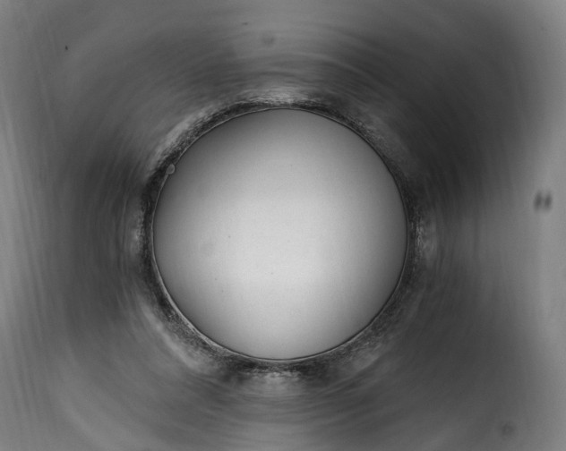 X0000115650304200911241740