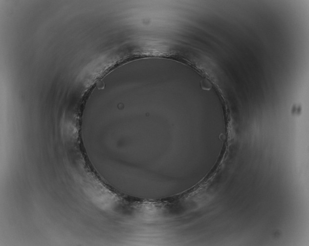 X0000115650305200911241740