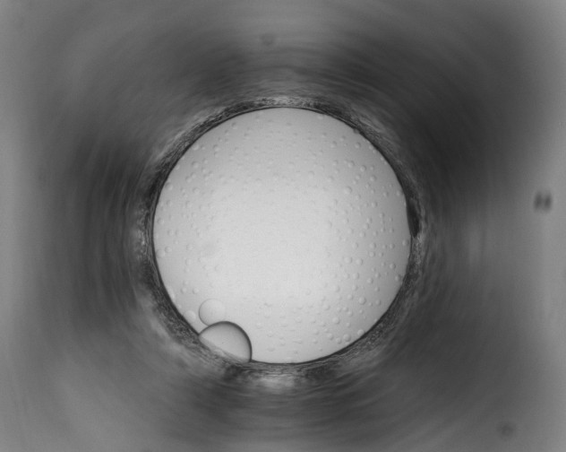 X0000115650306200911241740