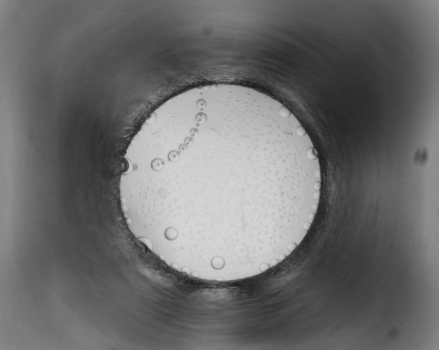 X0000115650307200911241740