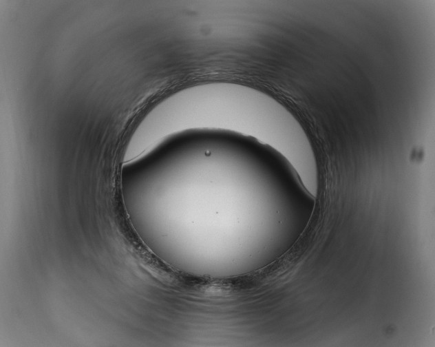 X0000115650308200911241740