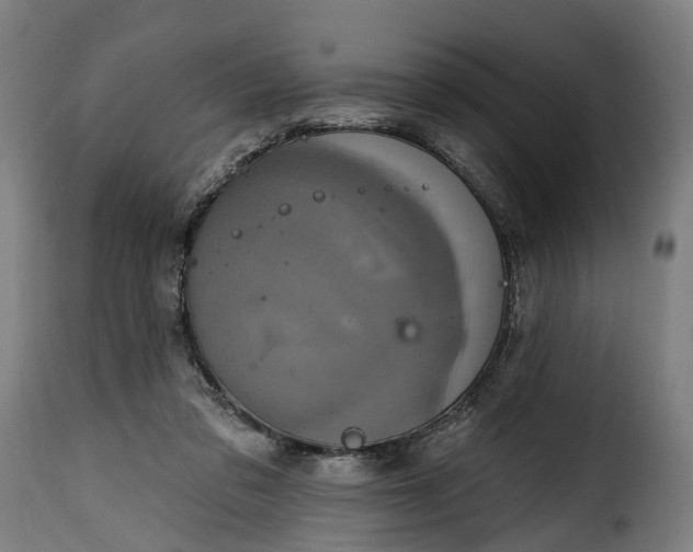 X0000115650309200911241740