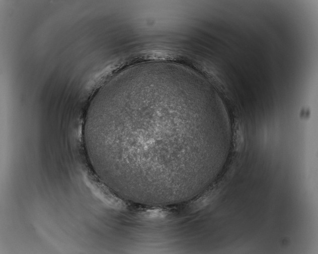 X0000115650310200911241740