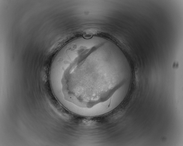 X0000115650311200911241740