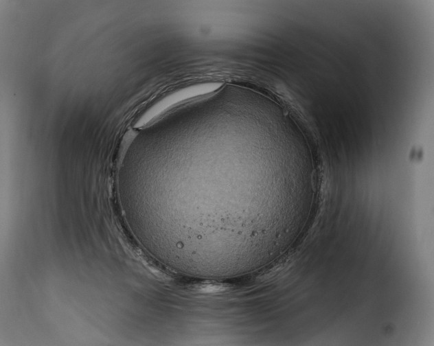 X0000115650313200911241740